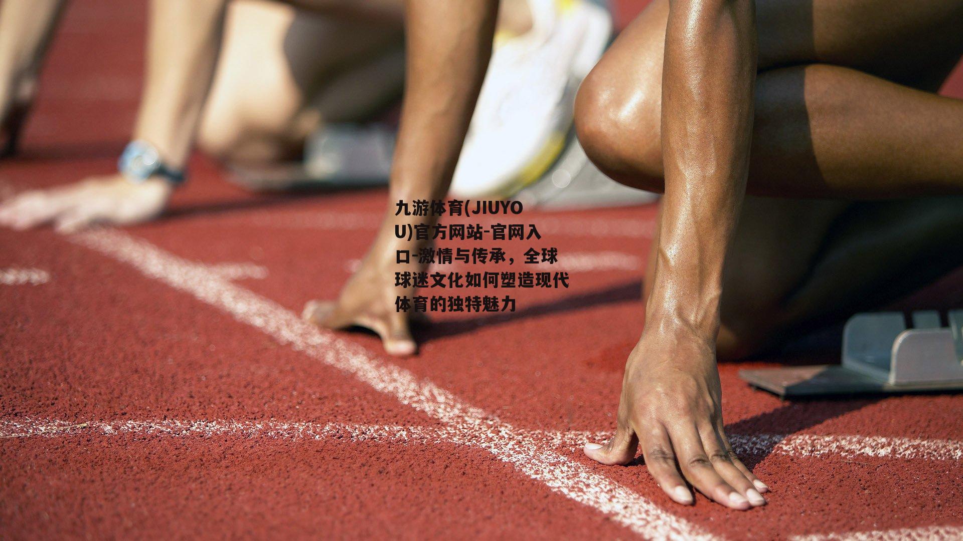 激情与传承，全球球迷文化如何塑造现代体育的独特魅力